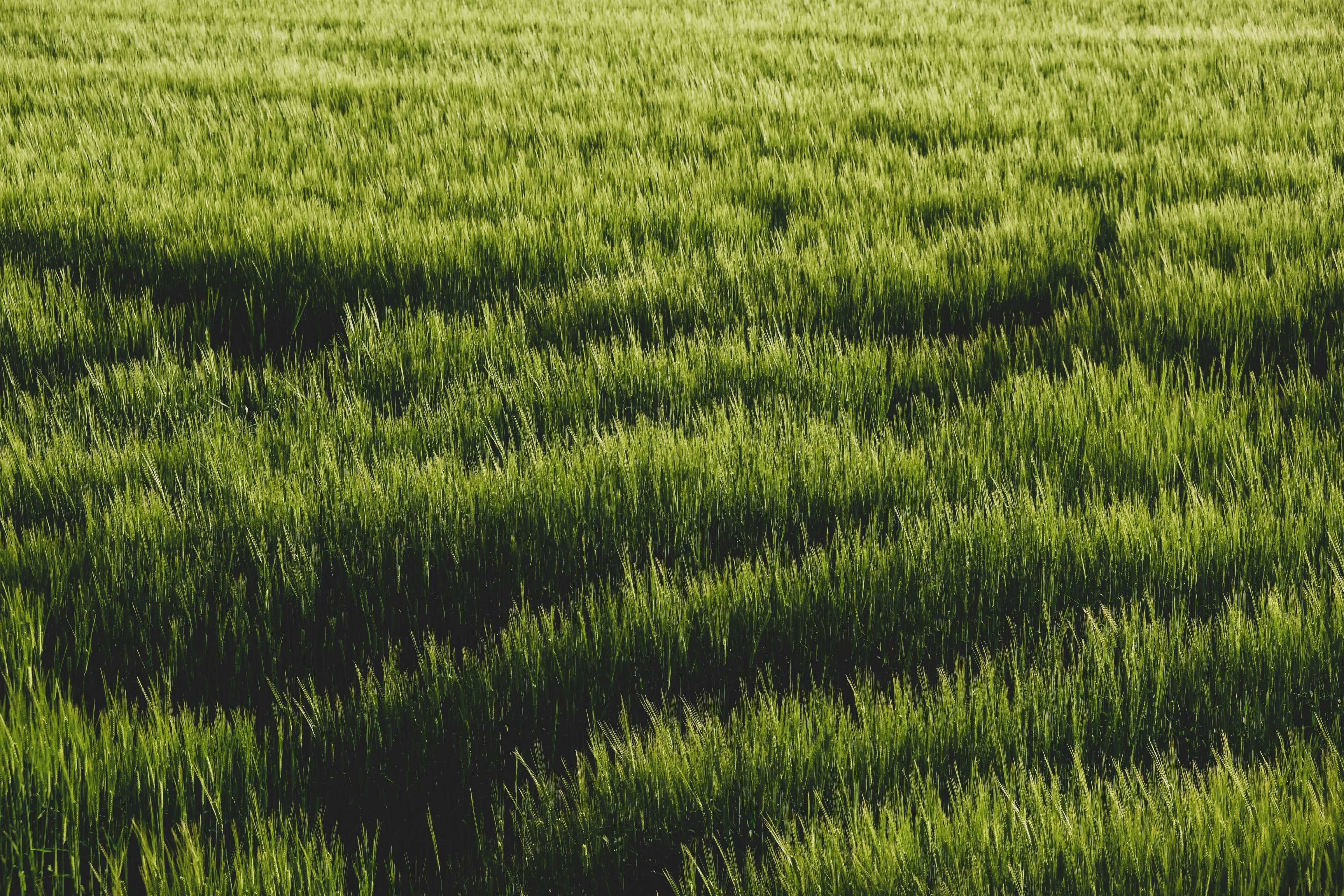 Footer background